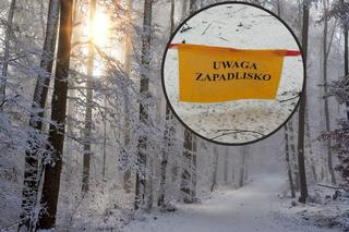 Zakaz wstępu do lasu w Małopolsce. Wszystko przez śmiertelnie groźne zapadliska