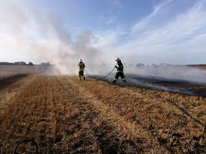 Dwa pożary zboża oraz rżyska w powiecie braniewskim