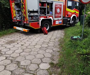 Staruszka wjechała samochodem do stawu! Dramatyczna akcja strażaków