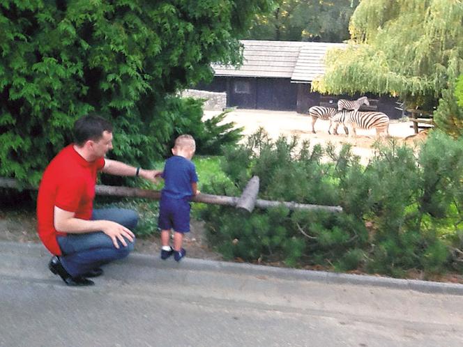 Ziobro wypoczywa w zoo