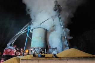 Nocny pożar kukurydzy. 20 ton ziaren stanęło w ogniu!
