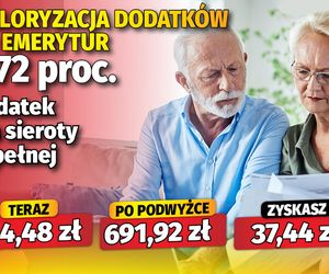 Waloryzacja dodatków do emerytur 5,72 proc.