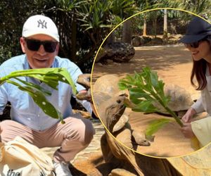 Orłoś w opałach, żona w akcji! Paulina zmieniła nazwisko i... rolę? Teraz to lwica na straży męża!
