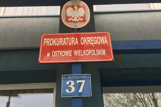 Pleszew. Potrzebna szczegółowa opinia biegłych ws. brutalnego zabójstwa na ogródkach działkowych w ubiegłym roku