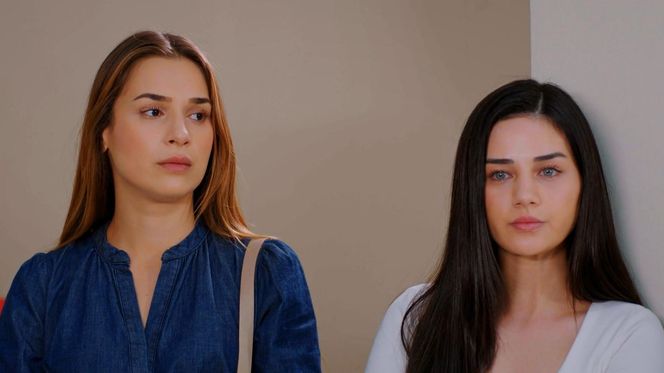 Miłość i nadzieja, odcinek 303. Sila, Bahar