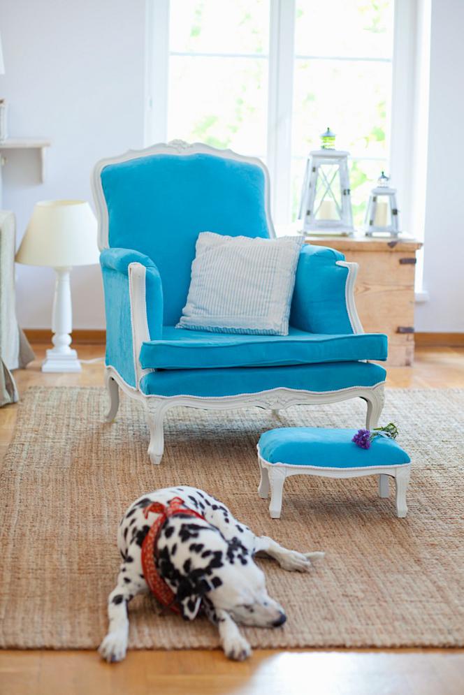 Niebieski, barokowy fotel w salonie