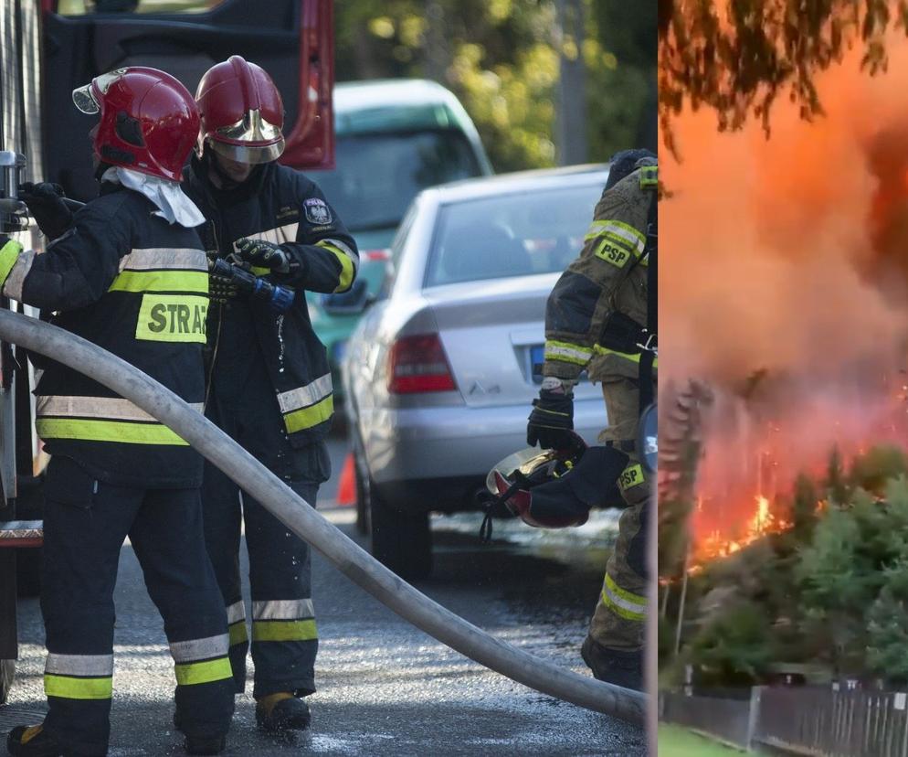 Polscy strażacy z policjantami pomogą ugasić pożar w Czeskiej Szwajcarii Wylecą jeszcze dzisiaj 