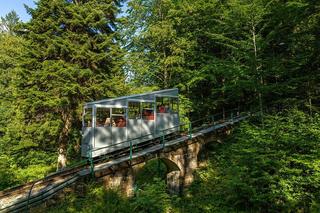 Góra Parkowa w Krynicy