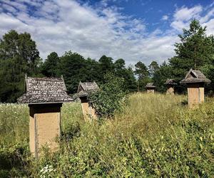 Wigierski Park Narodowy. To bezcenny obszar podlaskiej natury