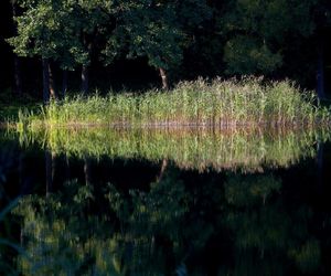 Jezioro Hańcza – najgłębsze jezioro w Polsce