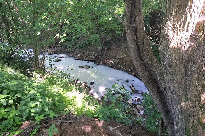 Zanieczyszczona rzeka na Podkarpaciu. Woda wyglądała jak mleko 