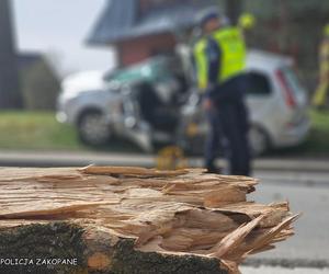 Tragedia w Zakopanem. Basia zginęła, jej pies przeżył