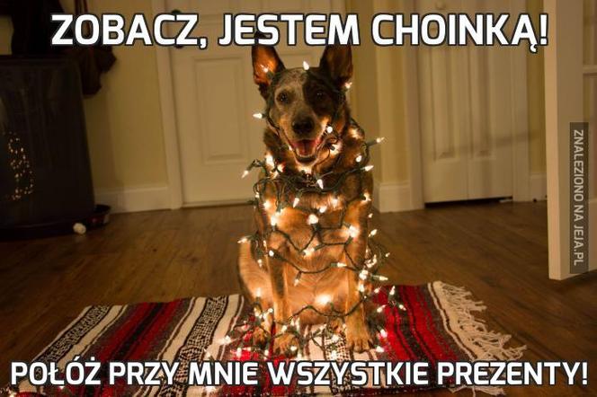 Choinka memy