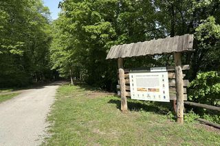 Leśne Centrum Kultury na Bielanach zaprasza mieszkańców. W programie darmowe warsztaty survivalu i spacery