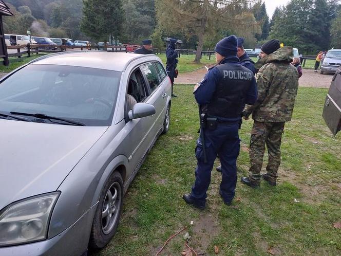 Najazd rumuńskich grzybiarzy na Podkarpaciu