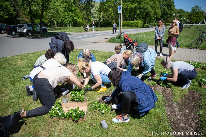 Ukrainki w dowód wdzięczności posadziły kwiaty w Parku Miejskim Solidarności w Tychach.