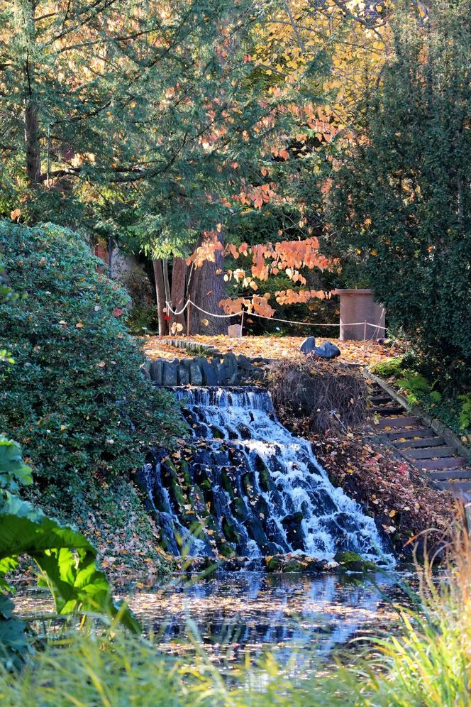 Ogród Botaniczny we Wrocławiu