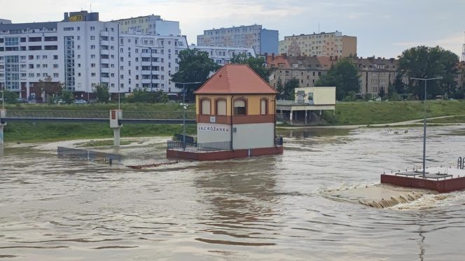 Fala powodziowa we Wrocławiu. Pod wodą są już beach bary i drogi 