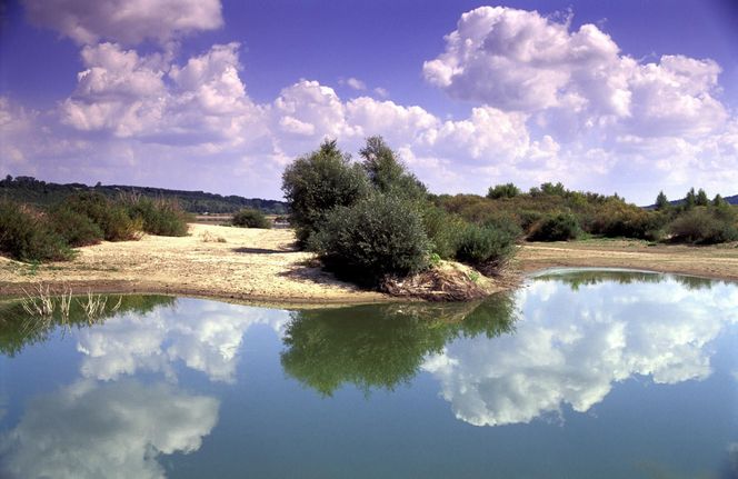 Janowiec, wiślany brzeg koło Kazimierza Dolnego