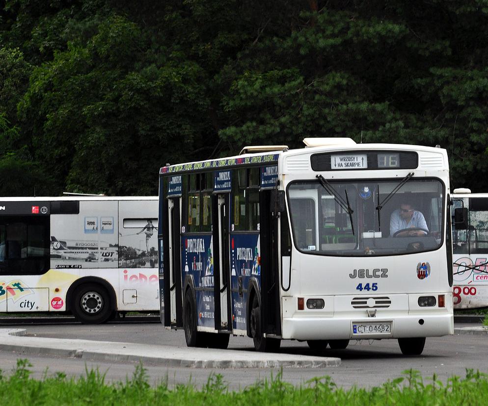 Autobusy Toruń