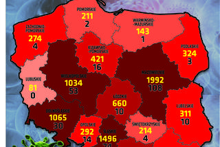 Koronawirus 20.04.2020 r, godz. 10. Zobacz aktualne wykresy i dane