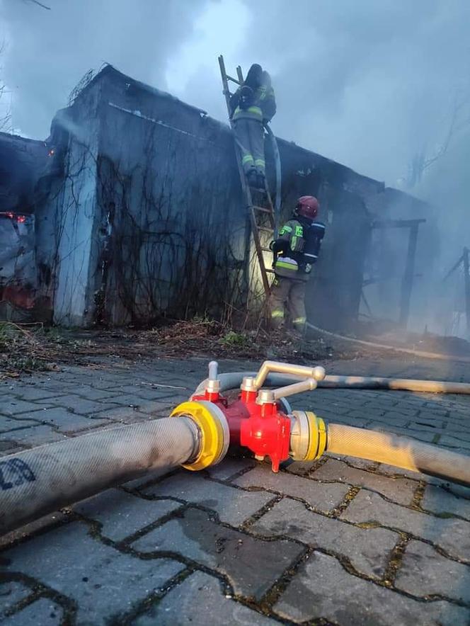 Toruń: Pożar pustostanu przy Szosie Chełmińskiej. Imponująca łuna ognia