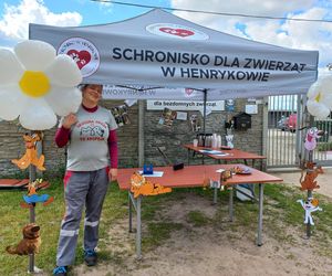 „Wszystkie psiaki nasze są” w schronisku w Henrykowie koło Leszna