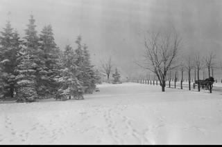 Zima w dawnej Warszawie