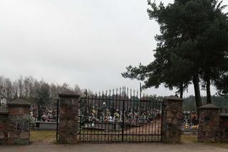 Dwie hieny grasowały na cmentarzu w Jednorożcu na Mazowszu