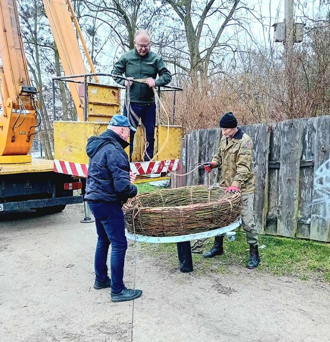 Karol (Marek) Łęgowski ze Skarszewa buduje bocianie gniazda. Montaż jednego z nich w Iławie