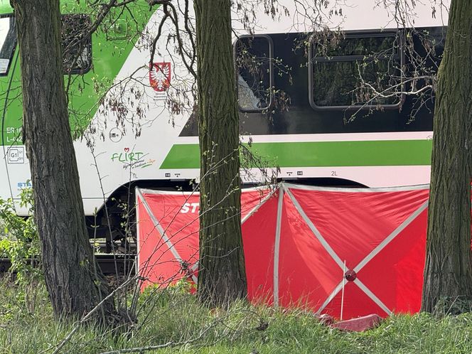 Tragedia w Ząbkach. Nie żyje pieszy. Wtargnął na tory w niedozwolonym miejscu