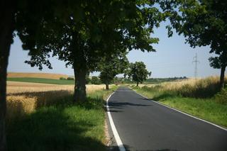 Łysomice obwodnica
