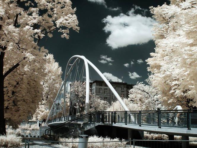 Wrocław w podczerwieni