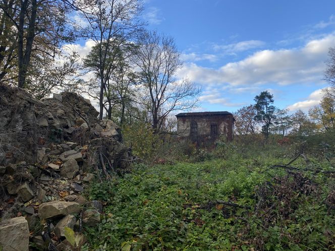 Zamek w Dąbrówce Starzeńskiej