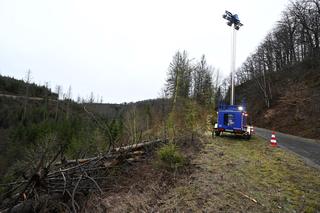 12-latki zwabiły koleżankę do lasu i brutalnie ją zadźgały. Powiedziały dlaczego. Szok!