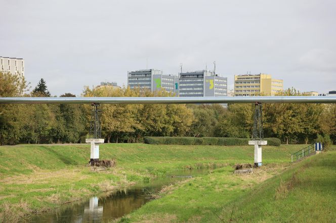 Jesienna odsłona terenów nad Bystrzycą w Lublinie. Tak się prezentuje w październiku