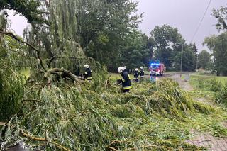 Burze nad Lubelszczyzną. W sobotę strażacy interweniowali blisko 300 razy