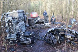 DZIUPLA W WOŁOMINIE