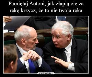 Najlepsze memy z okazji 75. urodzin Jarosława Kaczyńskiego. Te obrazki rozbawią cię do łez!