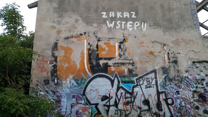 Jakie tajemnice kryją Górki Fordońskie?