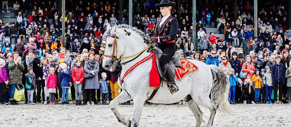 Wrocławski Tor Wyścigów Konnych - otwarcie sezonu 2019