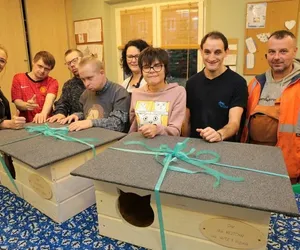 Osoby z niepełnosprawnościami wykonały domki dla bezdomnych kotów