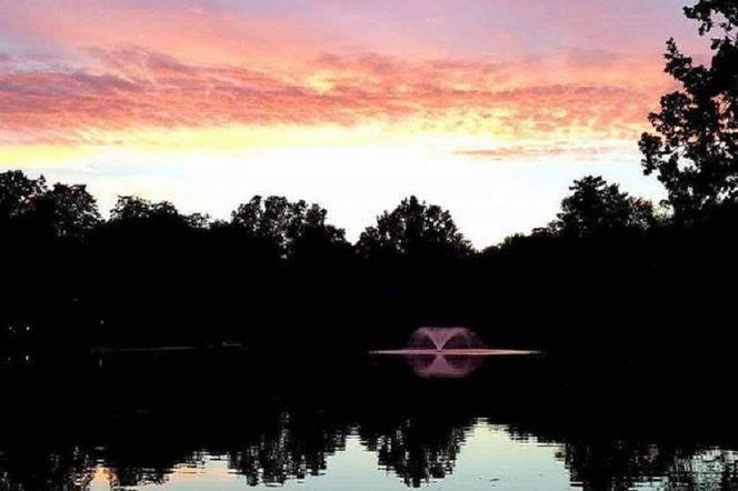 Park Południowy zajmuje powierzchnię 25 hektarów