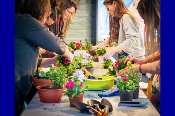 Konkurs „Warszawa w kwiatach” – zajęcia edukacyjne