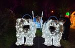 Park iluminacji w Lublinie