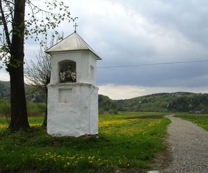 Mrzygłód - wieś na Podkarpaciu