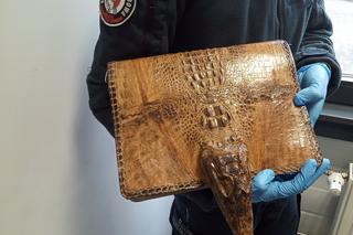 Chciał przewieźć torbę z chronionego gatunku krokodyla