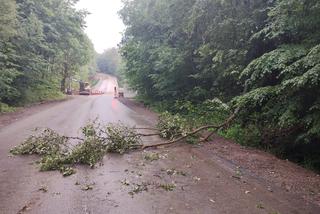Gwałtowna burza w Żywcu