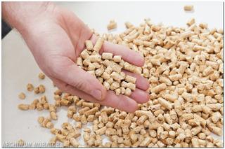 Ceny pelletu w 2022 wzrosły trzykronie i mogą jeszcze rosnąć. Czy będą dopłaty do pelletu?
