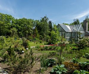 Miniarboretum powstało w Bytomiu. Miasto zaprasza uczniów i przedszkolaków